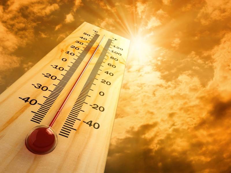 Hot summer temperatures